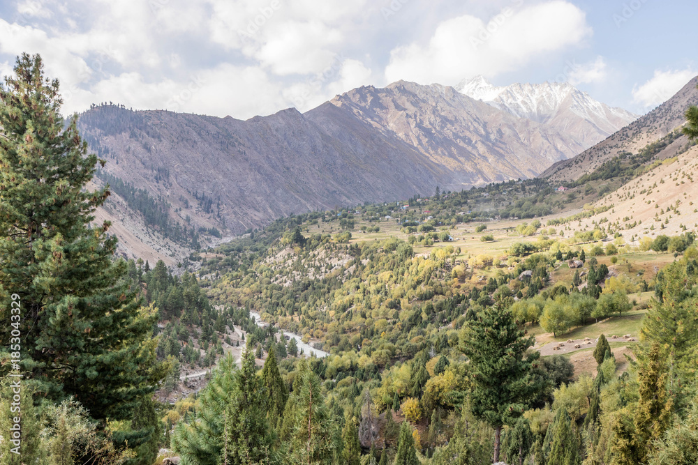 Naklejka premium Rupal village in Rupal valley, Gilgit-Baltistan region in Pakistan