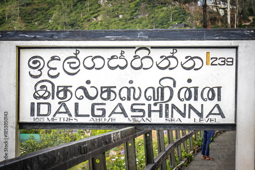 idalgashinna, sri lanka, train station, train, hiking, outdoors, 