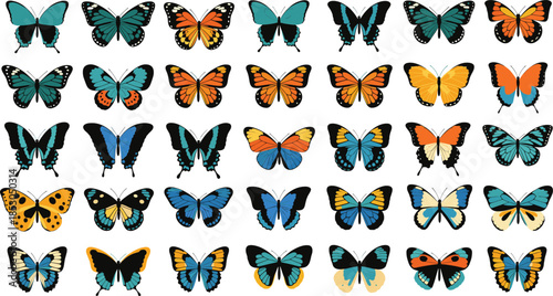 Large Collection of Colorful Butterfly Vector Illustrations Featuring Diverse Patterns and Colors for Spring and Summer Nature Designs