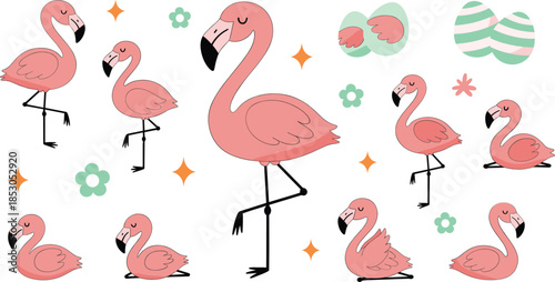 Cute Pink Flamingo Vector Illustration Set with Various Poses Flowers and Stars for Tropical Summer Design and Decor