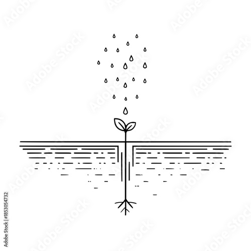 Water droplets falling on a growing plant with roots in the ground illustration design