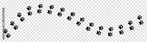 Paw print foot trail
