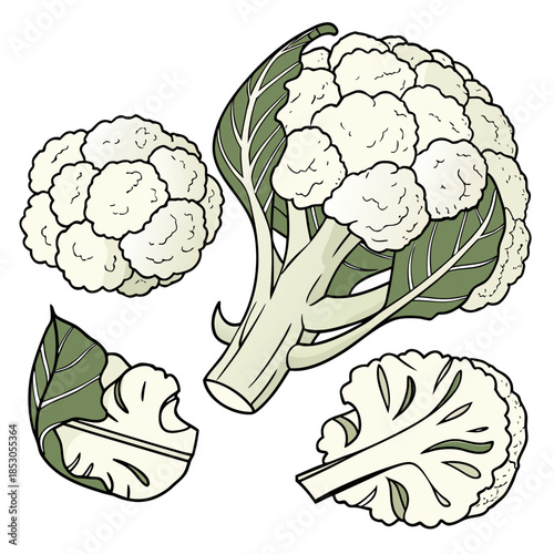 Cauliflower vegetable with green leaves white background