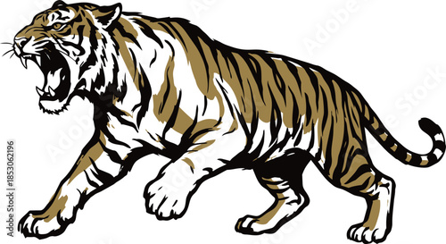 Aggressive walking tiger roaring with open mouth. Vector illustration for mascot or logo design.