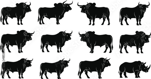 Vector silhouette set of bulls and rhinoceros for animal identification, wildlife comparison, pattern recognition, and zoological illustration concept.