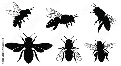Six black bee silhouettes flying in different directions on white background