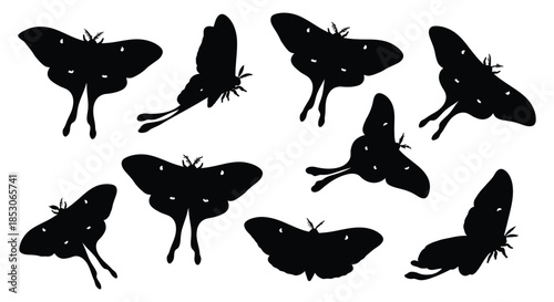 Silhouettes of butterflies in various flying positions on white background