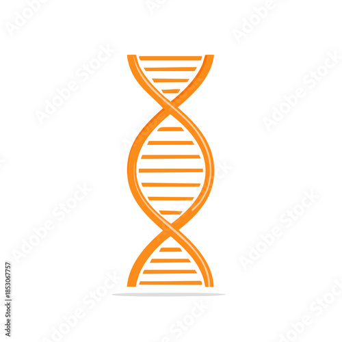 DNA double helix model graphic design representing genetics and heredity
