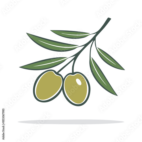 Olive Branch Illustration with Green Olives and Leaves for Mediterranean Products