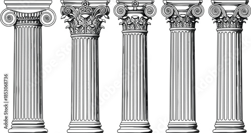 Classical architectural columns line art set featuring Ionic and Corinthian capitals, detailed antique pillars vector illustration for heritage design projects