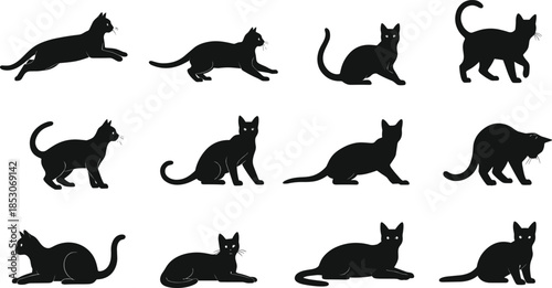 Cat silhouette illustration set, feline posture icons, walking sitting stretching poses, pet behavior vector, animal graphic design bundle