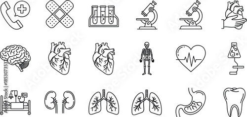 Medical icon set with human anatomy organs, laboratory equipment, brain, heart, lungs, kidneys, stomach, tooth, skeleton and healthcare emergency symbols.