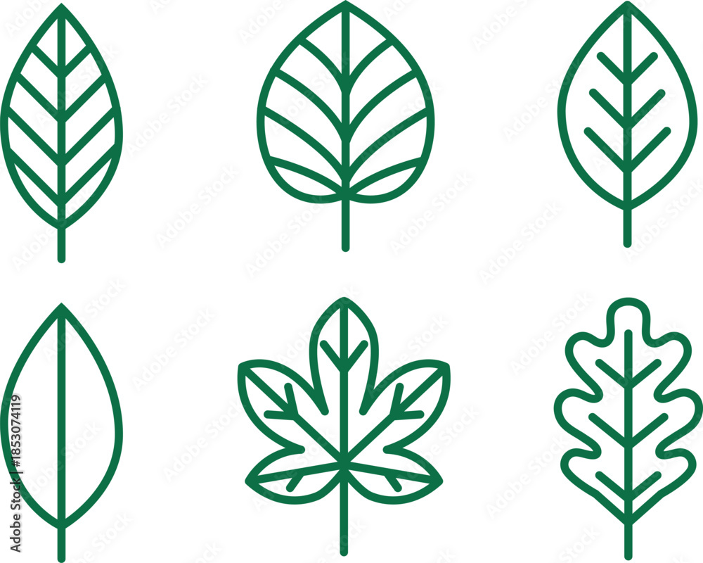 Fototapeta premium Collection of green leaf icons isolated on transparent background