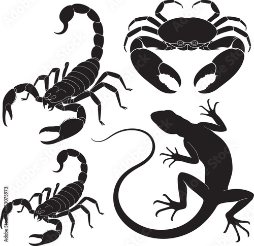 A vector set featuring black scorpion silhouettes and illustrations of the poisonous arachnid animal with a dangerous stinger tail and claws isolated on white for wildlife tattoos or astrology signs