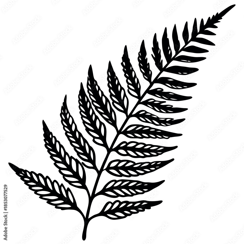 Fototapeta premium A delicate-fern-leaf-with-fine-details-and-soft 