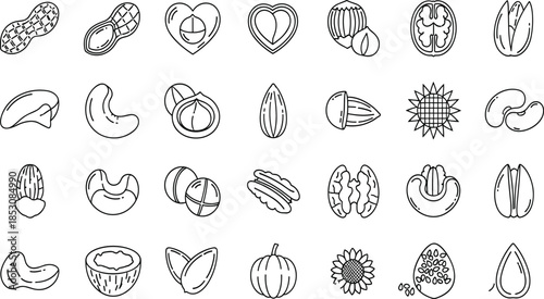 Hand Drawn Set of Nut and Seed Icons Including Peanuts Walnuts Almonds Cashews Pistachios and Sunflower Seeds Vector Blue Line Art
