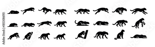 Silhouette evolution of a cheetah's movement in stages