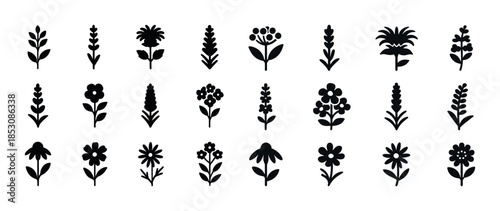 Collection of 24 floral silhouettes: diverse flowers and leaves