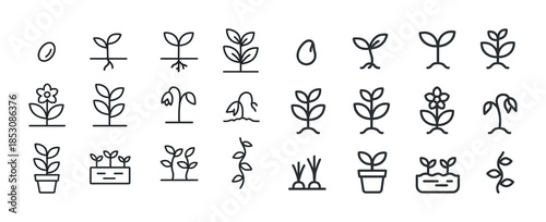 Growth stages of plants: icons featuring seed, sprout, leaf, flo