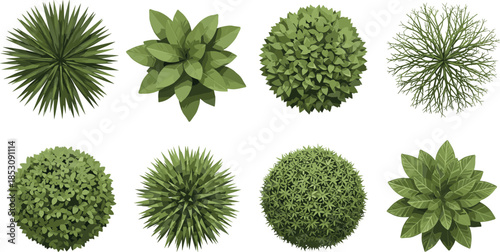 Vector top-down view of stylized shrubs and bushes for landscape design, gardening plans, architectural vegetation layout, and foliage illustration concept.