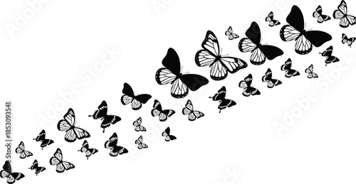 Flying butterfly silhouettes forming graceful diagonal pattern, transformation, freedom and natural beauty concept illustration isolated on white background