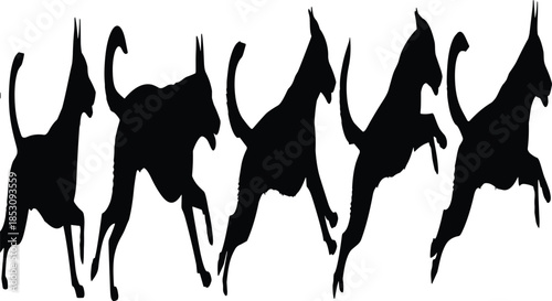 Playful cat silhouettes jumping and stretching in dynamic poses, feline movement, energy and fun concept illustration isolated on white background