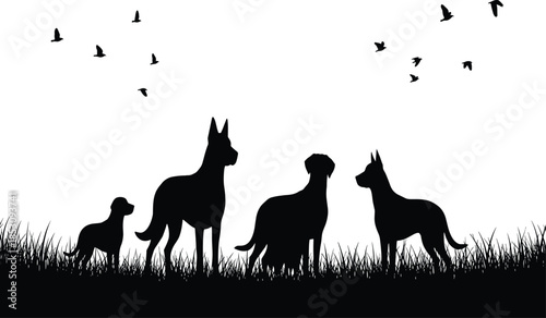 Dogs silhouettes standing in grassy field with flying birds, peaceful nature, companionship and outdoor wildlife scene illustration isolated on white background