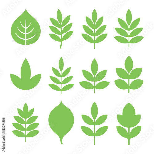 Collection of Various Green Leaf Shapes Vector Illustration Set