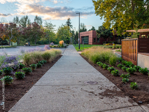 View of a tranquil concrete pathway flanked by vibrant ornamental grasses, purple flowers, and manicured shrubs under a serene sky, Apollo Park, Oregon, United States.