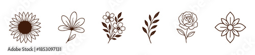 Collection of delicate brown outline floral and leaf motifs perfect for botanical graphic accents and elegant stationery applications