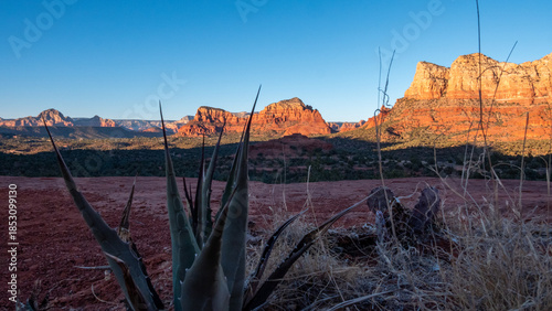 View of red rock formations rise against a clear blue sky, contrasting with desert flora in the foreground, Desert Hills, Arizona, United States.
