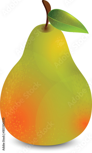 pear isolated