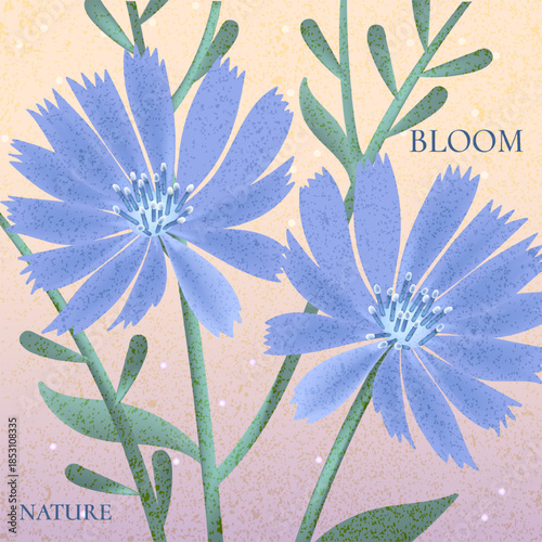 Soft floral illustrations with textured backgrounds, bloom,nature and wild flowers in pastel colors. Gentle botanical art for decor, prints, cards, and modern design projects.