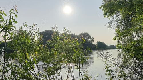 At early summer dawn, the sun that has risen above the trees shines brightly and is reflected in the water. Bushes and willows grow on the banks of the river, the branches of which hang over the water