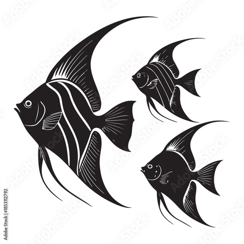 Three angelfish swimming together in black and white illustration