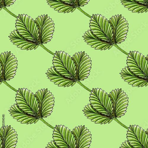 Strawberry leaves seamless pattern hand drawn watercolor. Berry foliage. Green leaf. Summer season. Fruit farm. Illustration background for wall and wrapper.