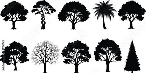 Collection of diverse tree silhouettes including palm, oak, conifer and bare branches, isolated black vector illustration set for design use