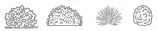 Four distinct illustrations of different bushes forms, each plant has a unique shape and structure, showcasing the diversity in plant morphology