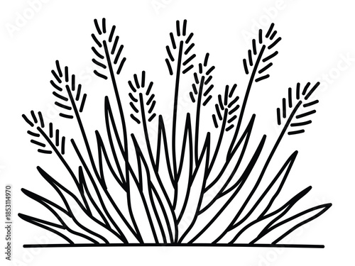 A black and white illustration of a bunch of grass or wheat on a plain background