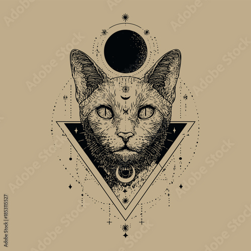 Mystical cat illustration with moon phases and geometric shapes for spiritual designs and occult themes vector illustration