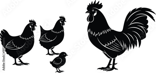 Chicken family silhouette, rooster, hens, chick, farm animals, poultry vector, black outline, rural livestock, barnyard birds, isolated illustration, editable