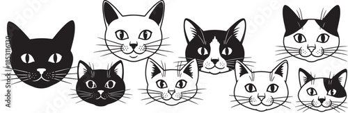 Whimsical feline portraits in black and white