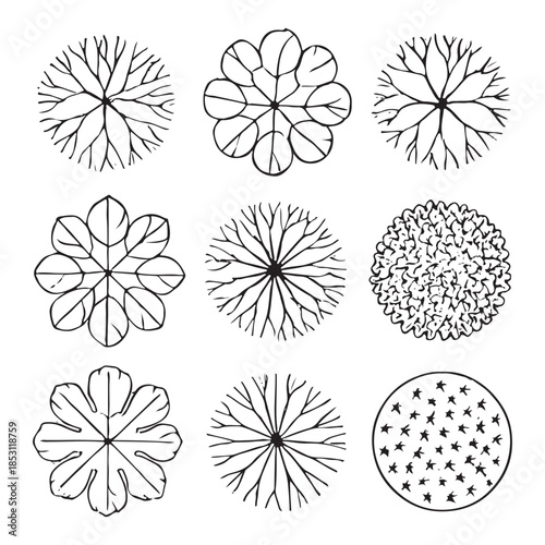 CAD Trees Top View Set – Landscape Design and Architectural Elements
