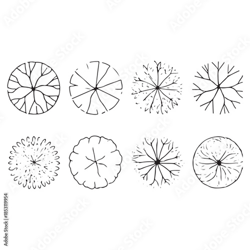 CAD Trees Top View Set – Landscape Design and Architectural Elements