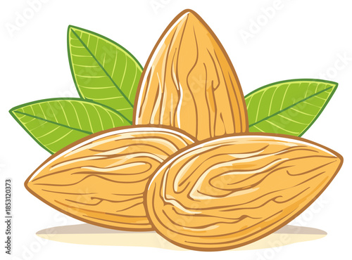 Illustrated Group of Almonds with Green Leaves Healthy Snack Vegetarian Option Nuts