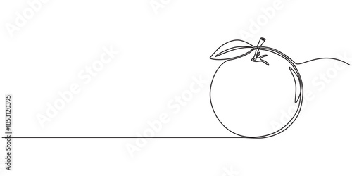 Orange fruit vector illustration. One line drawing art color illustration with Orange fruit, Orange vector illustration. One line drawing art illustration with Orange fruit, Orange