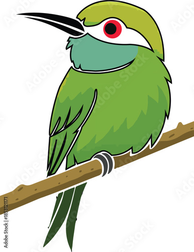 A cute cartoon vector illustration of a green tropical parrot with colorful feathers and a sharp beak perched on a tree branch isolated on a white background for wildlife and nature designs