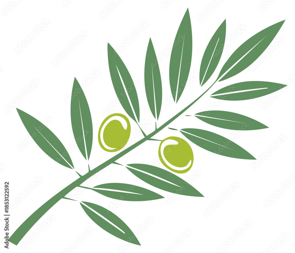 Fototapeta premium Olive branch with olives and leaves illustration, botanical greenery symbol