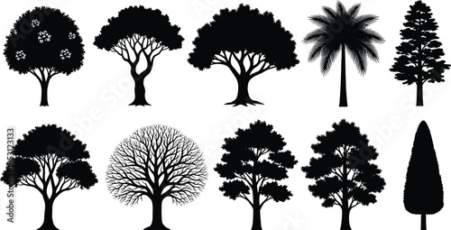 Set of detailed tree silhouettes including palm, pine, oak and bare branches, black isolated vector illustration for design projects