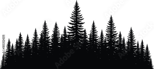 Pine forest silhouette landscape, evergreen trees skyline, black nature background vector illustration for outdoor design, ecology concept artwork